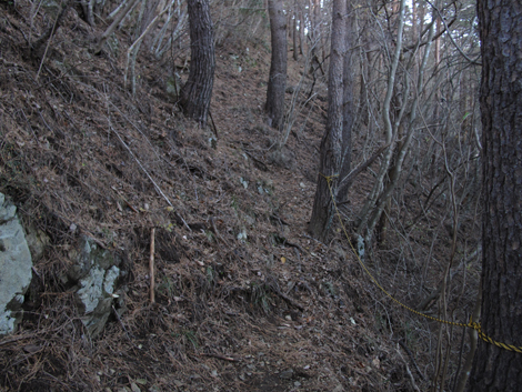 20181214hike (35)